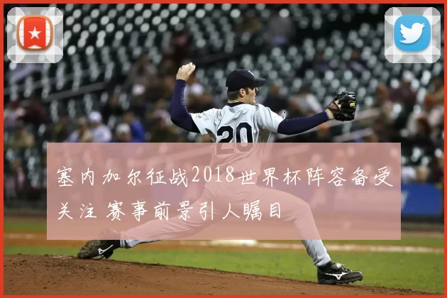 塞内加尔征战2018世界杯阵容备受关注 赛事前景引人瞩目