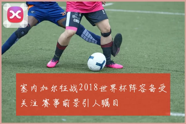 塞内加尔征战2018世界杯阵容备受关注 赛事前景引人瞩目