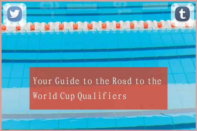 Your Guide to the Road to the World Cup Qualifiers