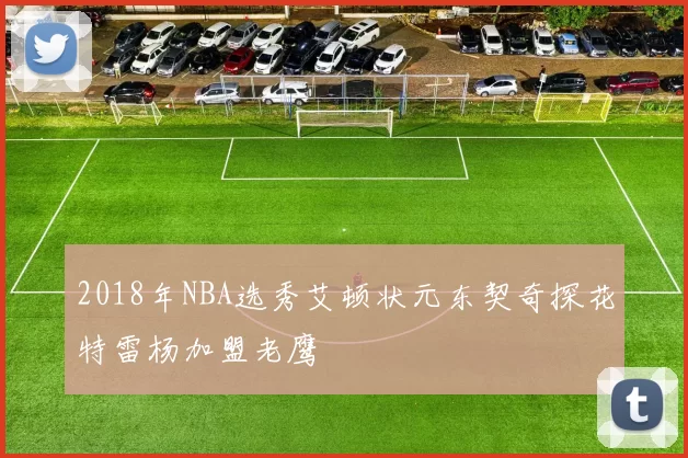 2018年NBA选秀艾顿状元东契奇探花特雷杨加盟老鹰