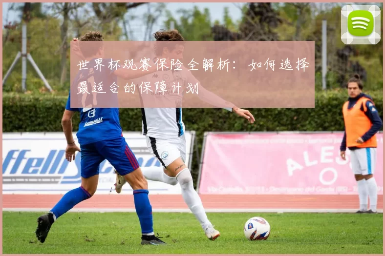 世界杯观赛保险全解析:如何选择最适合的保障计划