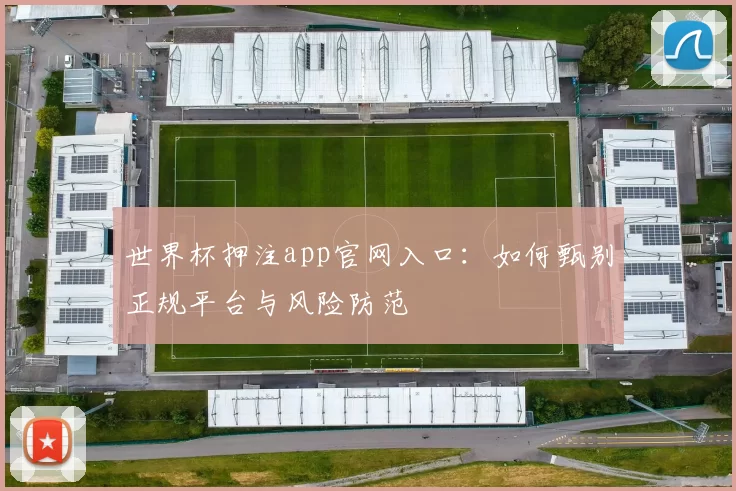 世界杯押注app官网入口：如何甄别正规平台与风险防范