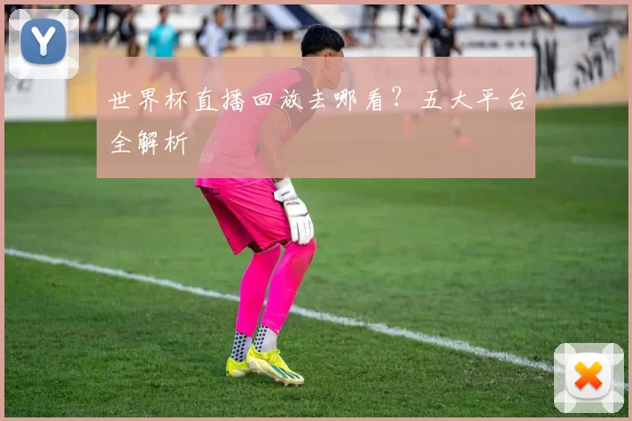 世界杯直播回放去哪看?五大平台全解析