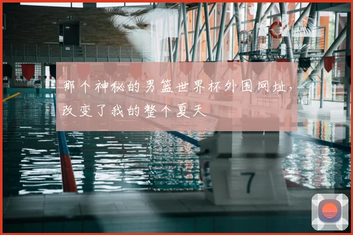 那个神秘的男篮世界杯外围网址,改变了我的整个夏天