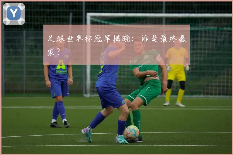 足球世界杯冠军揭晓：谁是最终赢家？