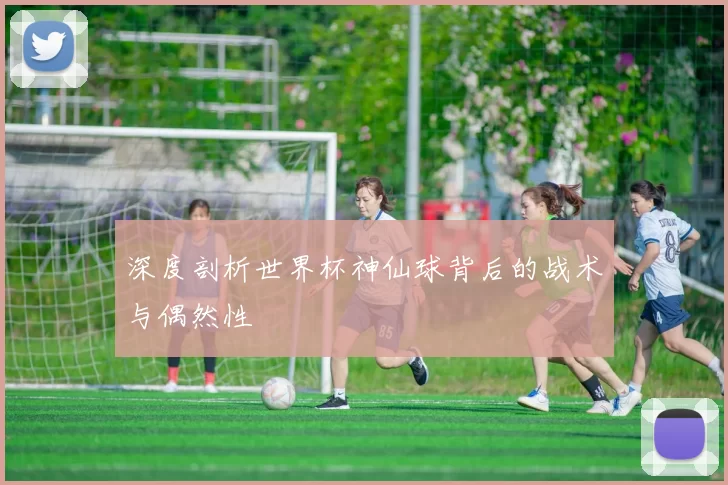 深度剖析世界杯神仙球背后的战术与偶然性