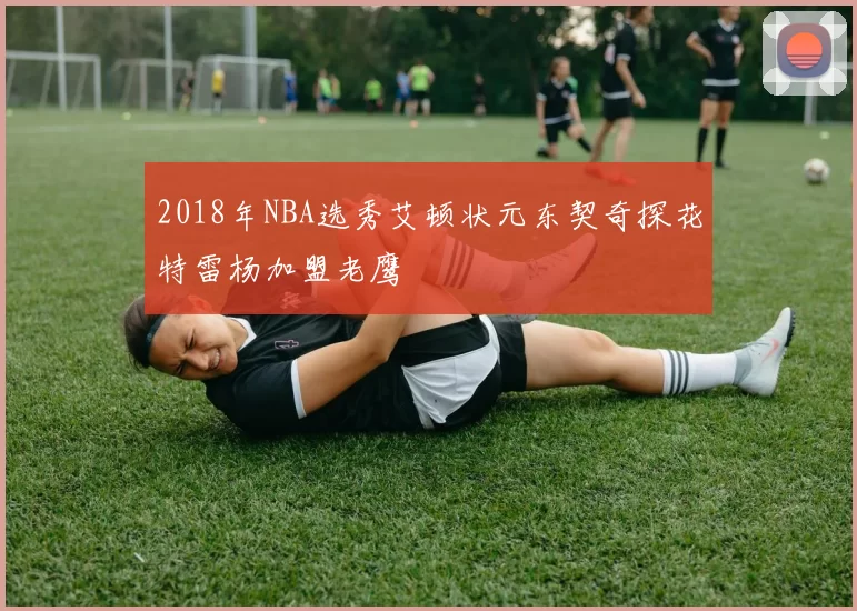 2018年NBA选秀艾顿状元东契奇探花特雷杨加盟老鹰