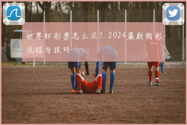 世界杯彩票怎么买？2024最新购彩流程与技巧
