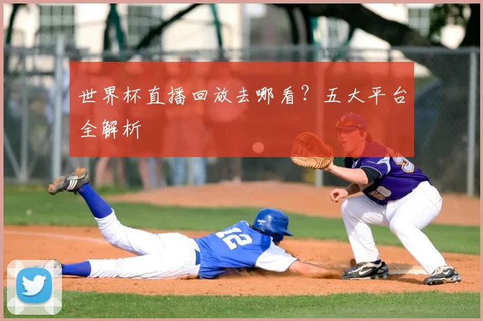 世界杯直播回放去哪看？五大平台全解析