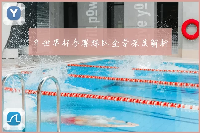 年世界杯参赛球队全景深度解析
