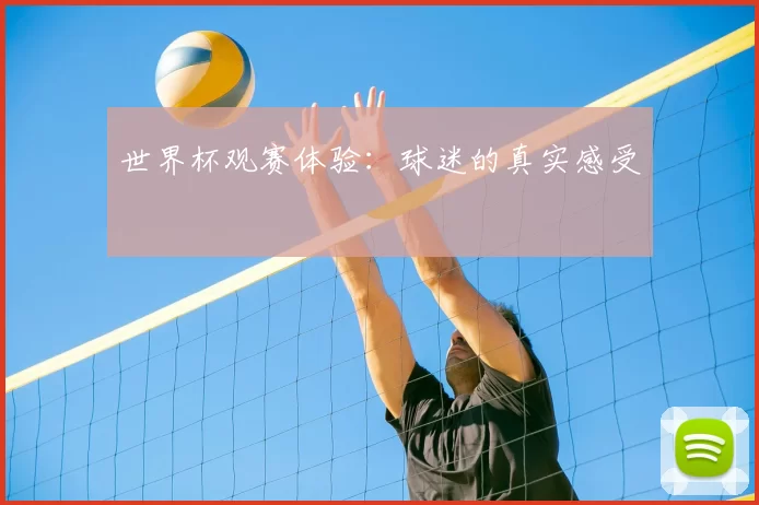 世界杯观赛体验:球迷的真实感受