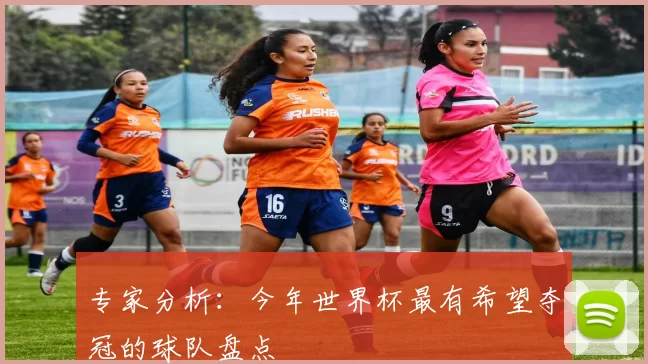 专家分析:今年世界杯最有希望夺冠的球队盘点