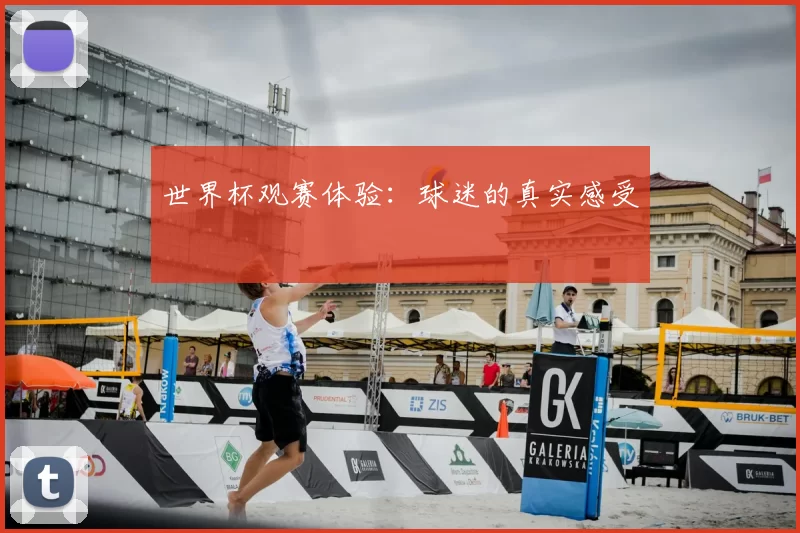 世界杯观赛体验:球迷的真实感受