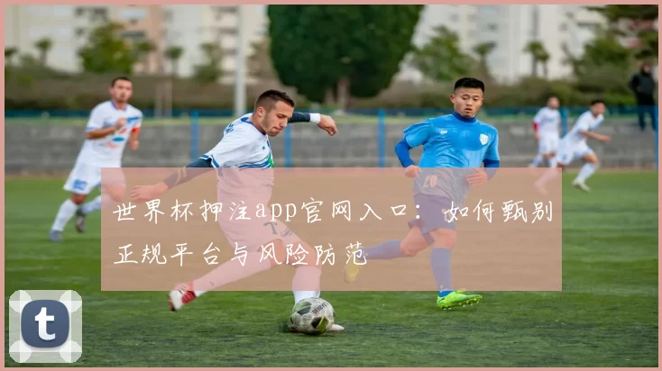世界杯押注app官网入口:如何甄别正规平台与风险防范